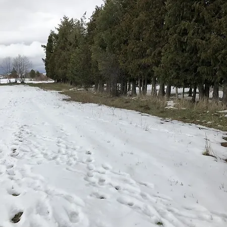 Il Rifugio Del Peccatore *